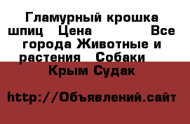 Гламурный крошка шпиц › Цена ­ 30 000 - Все города Животные и растения » Собаки   . Крым,Судак